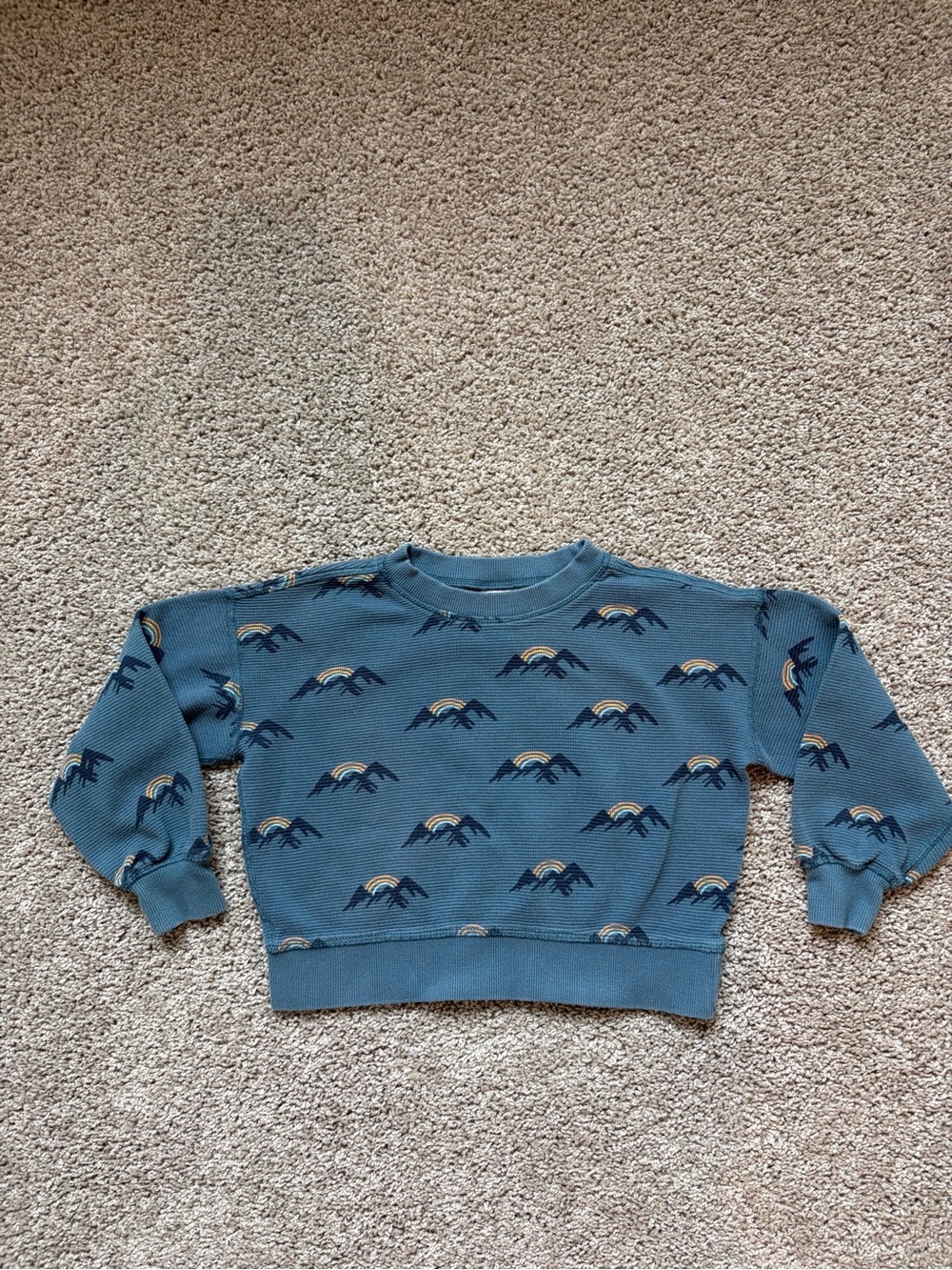 Hanna Andersson Crewneck